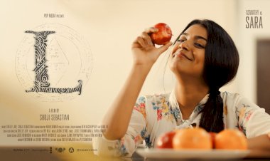 മലയാള സിനിമ  എൽ  നെതിരെ വ്യാപകമായ സൈബർ ആക്രമണം