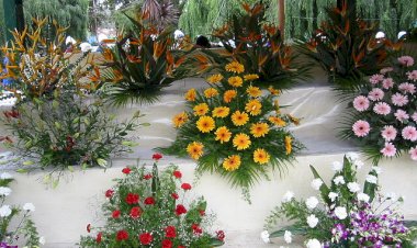 കൊച്ചിക്ക് ഇനി പൂക്കാലം