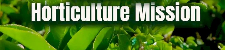 ​ഹോർട്ടികൾച്ചർ മിഷൻ ധനസഹായം