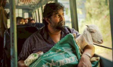 ജോജു ജോർജും ലിജോ മോളും ഒന്നിക്കുന്ന അജ:സുന്ദരി ഫസ്റ്റ് ലുക്ക് പോസ്റ്റർ പുറത്തിറങ്ങി