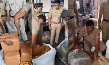 ആലുവ മണപ്പുറത്തേക്ക് പലഹാരത്തിന്റെ മറവിൽ കടത്താൻ ശ്രമിച്ച 38 കിലോ കഞ്ചാവ് പിടികൂടി