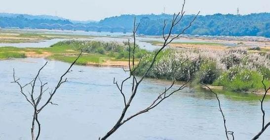 ഭാരതപ്പുഴയിലെ തടയണകളിൽ നിന്ന് മണൽ നീക്കം സർക്കാരിന് 100 കോടി രൂപയുടെ വരുമാനം ലക്ഷ്യം