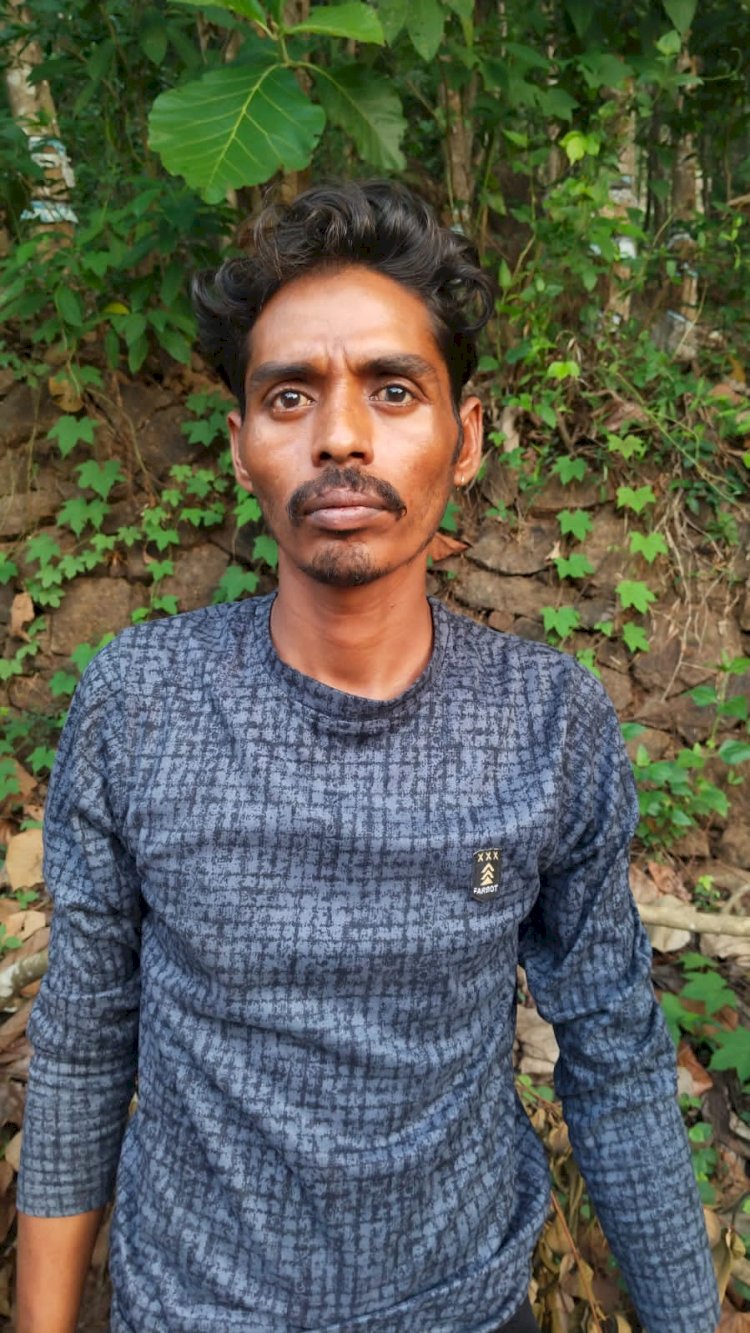 അയ്യമ്പുഴയിൽ 27 കിലോ കഞ്ചാവുമായി രണ്ട് ബംഗാൾ സ്വദേശികൾ പിടിയിൽ വൻ ലഹരി വേട്ട