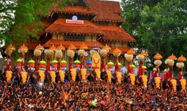 ഗജരാജപ്രൗഢിയിൽ തൃശൂർ പൂരം പാറമേക്കാവിന്റെ തിടമ്പേറ്റാൻ തൃക്കടവൂർ ശിവരാജു എത്തുന്നു