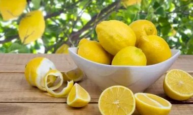 പൊള്ളുന്ന വെയിലിൽ പുളിക്കുന്ന വില നാരങ്ങാവെള്ളം ഇനി ലക്ഷ്വറി , ഒന്നിന് പത്തുരൂപ കടന്ന് നാരങ്ങ