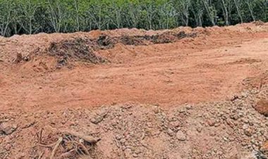 എറണാകുളം ജില്ലയിൽ മണ്ണുമാഫിയയുടെ തേർവാഴ്ച ഭൗമദിനത്തിലും മലയിടിച്ചിലും പാടം നികത്തലും വ്യാപകം