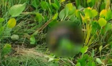 ​മുണ്ടത്തിക്കോട് സ്ഫോടനം: 300 മീറ്റർ അകലെ കത്തിക്കരിഞ്ഞ നിലയിൽ തല കണ്ടെത്തി