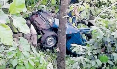 താഴ്ചയിലേക്ക് പതിച്ചിട്ടും പോറലേറ്റില്ല പയർവള്ളി പടർപ്പുകൾ ജീവൻ കാത്തു, അമലഗിരിയിൽ അപകടം