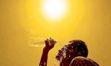 കേരളം വെന്തുരുകുമ്പോഴും തുക ചെലവഴിച്ചില്ല കലക്ടർമാർക്ക് അനുവദിച്ച 14 കോടി പാഴായി