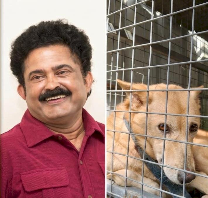 ചിക്കു ഇനി ഓർമ്മ ഒൻപത് വർഷത്തെ ആത്മബന്ധം മുറിഞ്ഞ വേദനയിൽ ജോയ് മാത്യു വൈറൽ കുറിപ്പ്