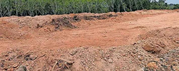 എറണാകുളം ജില്ലയിൽ മണ്ണുമാഫിയയുടെ തേർവാഴ്ച ഭൗമദിനത്തിലും മലയിടിച്ചിലും പാടം നികത്തലും വ്യാപകം