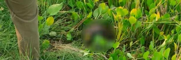 ​മുണ്ടത്തിക്കോട് സ്ഫോടനം: 300 മീറ്റർ അകലെ കത്തിക്കരിഞ്ഞ നിലയിൽ തല കണ്ടെത്തി