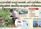 ആലപ്പുഴയിൽ വെസ്റ്റ് നൈൽ പനി സ്ഥിരീകരിച്ചു ജില്ലയിൽ അതീവ ജാഗ്രതാ നിർദ്ദേശം