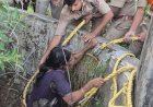 മകൻ കിണറ്റിലെറിഞ്ഞ ആധാരമെടുക്കാൻ ഇറങ്ങി 52 കാരി കിണറ്റിൽ കുടുങ്ങി, ഒടുവിൽ അഗ്നിരക്ഷാസേന രക്ഷകരായി