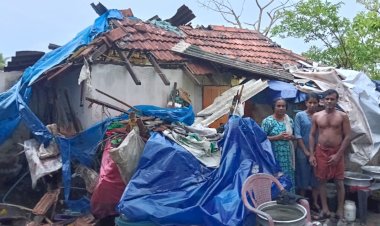 മുവാറ്റുപുഴയിൽ ചുഴലിക്കാറ്റും കനത്ത മഴയും മരങ്ങൾ വീണ് വീടുകൾ തകർന്നു, പലയിടത്തും ഗതാഗതവും വൈദ്യുതിയും തടസ്സപ്പെട്ടു