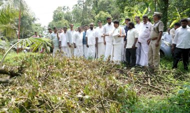 ​കർഷകർക്ക് ആശ്വാസം നശിച്ച വിളകൾ സൗജന്യമായി റീപ്ലാന്റ് ചെയ്യുമെന്ന് മന്ത്രി ടി. സിദ്ദിഖ്
