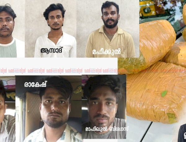 ആലുവയിൽ വൻ കഞ്ചാവ് വേട്ട: 35 കിലോ കഞ്ചാവുമായി മലയാളിയടക്കം 7 പേർ പിടിയിൽ
