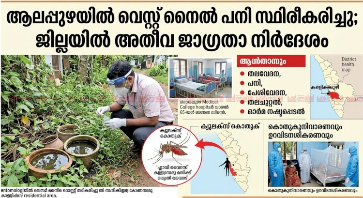 ആലപ്പുഴയിൽ വെസ്റ്റ് നൈൽ പനി സ്ഥിരീകരിച്ചു ജില്ലയിൽ അതീവ ജാഗ്രതാ നിർദ്ദേശം