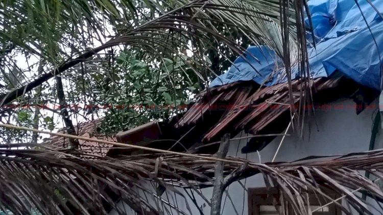മുവാറ്റുപുഴയിൽ ചുഴലിക്കാറ്റും കനത്ത മഴയും മരങ്ങൾ വീണ് വീടുകൾ തകർന്നു, പലയിടത്തും ഗതാഗതവും വൈദ്യുതിയും തടസ്സപ്പെട്ടു