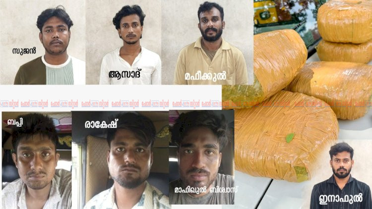 ആലുവയിൽ വൻ കഞ്ചാവ് വേട്ട: 35 കിലോ കഞ്ചാവുമായി മലയാളിയടക്കം 7 പേർ പിടിയിൽ