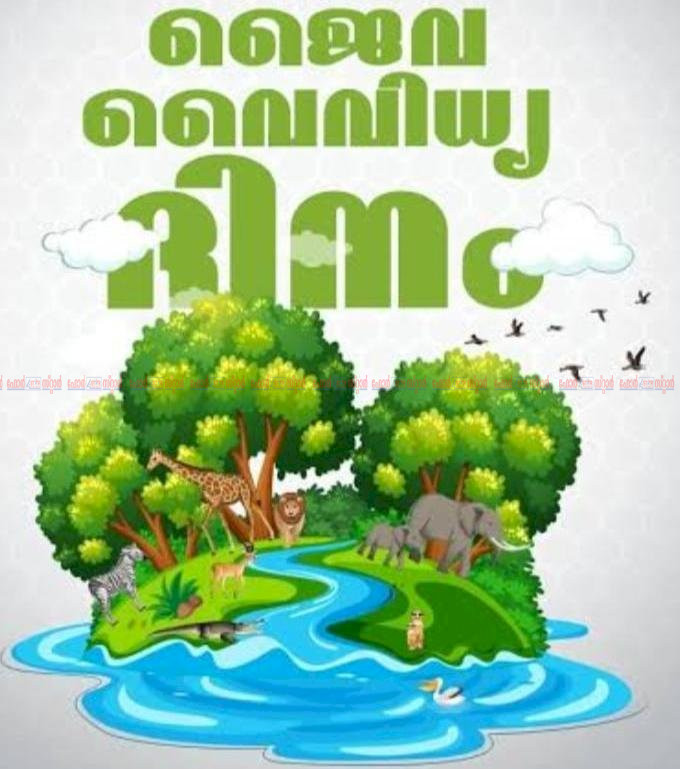 അന്താരാഷ്ട്ര ജൈവവൈവിധ്യ ദിനാചരണം ഇന്ന്കോട്ടയത്ത് ഏകദിന ശില്പശാലയും ആദരിക്കലും നടക്കും
