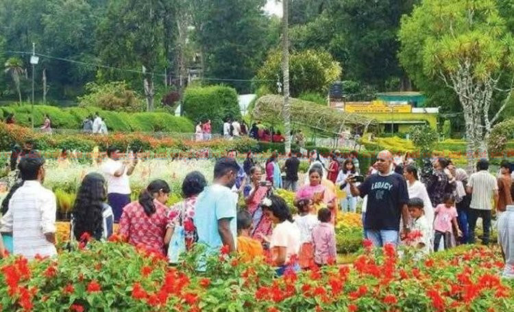 വസന്തമണിഞ്ഞ് ഊട്ടി പത്തുലക്ഷം പൂക്കളുമായി ബോട്ടാണിക്കൽ ഗാർഡനിൽ പുഷ്പമഹോത്സവത്തിന് തുടക്കം