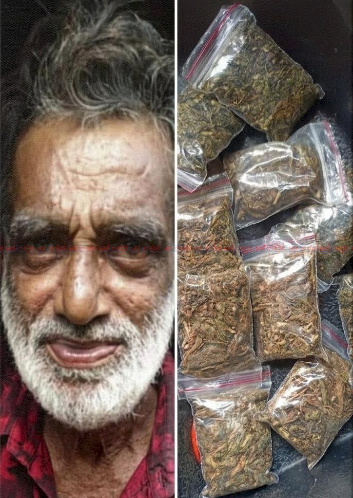 ​നിരവധി മയക്കുമരുന്ന് കേസുകളിലെ പ്രതി തുരുത്ത് നസീർ വീണ്ടും പിടിയിൽ ഇത്തവണ കുടുങ്ങിയത് ഓട്ടോയിൽ കഞ്ചാവ് വിൽക്കുന്നതിനിടെ
