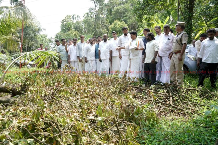 ​കർഷകർക്ക് ആശ്വാസം നശിച്ച വിളകൾ സൗജന്യമായി റീപ്ലാന്റ് ചെയ്യുമെന്ന് മന്ത്രി ടി. സിദ്ദിഖ്