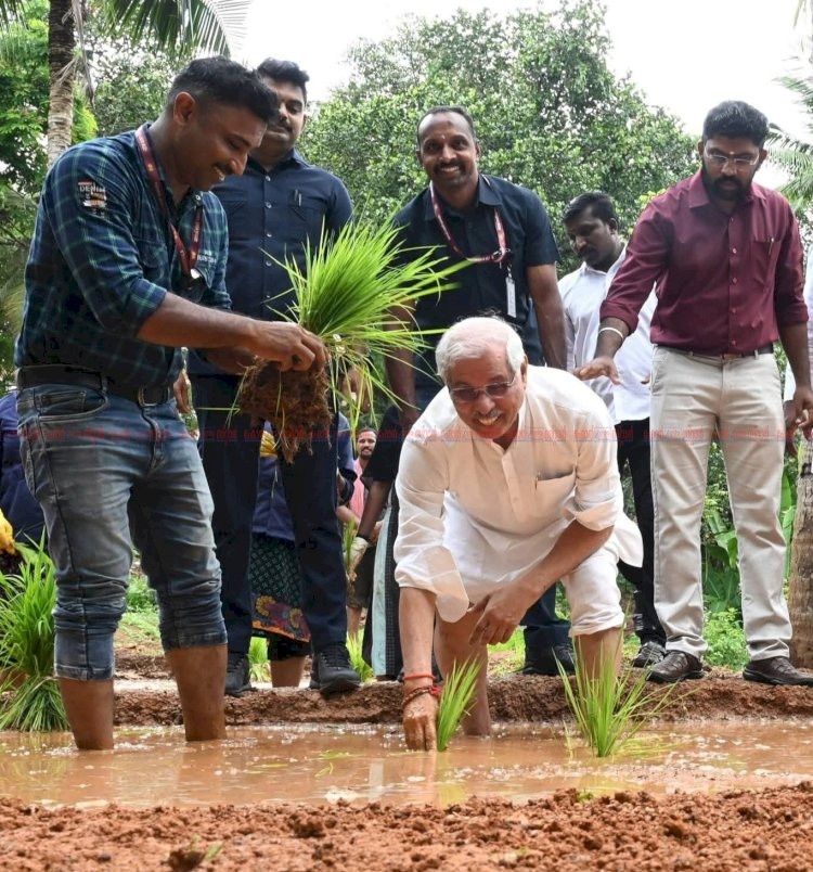കർഷകർക്ക് ആദരവുമായി കൃഷിയിടത്തിലേക്ക് ഇറങ്ങി രാജ്ഭവനിൽ ഞാറുനട്ട് ഗവർണർ രാജേന്ദ്ര വിശ്വനാഥ് അർലേക്കർ