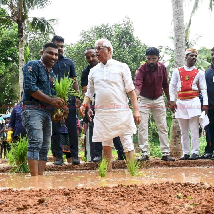 കർഷകർക്ക് ആദരവുമായി കൃഷിയിടത്തിലേക്ക് ഇറങ്ങി രാജ്ഭവനിൽ ഞാറുനട്ട് ഗവർണർ രാജേന്ദ്ര വിശ്വനാഥ് അർലേക്കർ