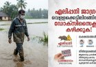 എലിപ്പനി ജാഗ്രത വെള്ളക്കെട്ടിലിറങ്ങിയവർ നിർബന്ധമായും ഡോക്‌സിസൈക്ലിൻ കഴിക്കണമെന്ന് ഡി.എം.ഓ