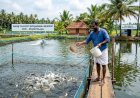 മത്സ്യകർഷക അവാർഡിന് അപേക്ഷിക്കാം