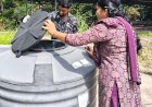 ​നിങ്ങളുടെ വീട്ടിലെ ഇൻഡോർ ചെടികളും മണിപ്ലാൻ്റും ഡെങ്കിപ്പനി വരുത്തിയേക്കാം ജാഗ്രതാ നിർദേശവുമായി ആരോഗ്യവകുപ്പ്