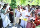 കൃഷിയിടത്തിലേക്ക് തിരിച്ചുപോവുക അനിവാര്യം ചെഞ്ചേരിയിൽ പപ്പായ വിളവെടുപ്പ് ഉദ്ഘാടനം ചെയ്ത് മന്ത്രി ടി.സിദ്ദിഖ്