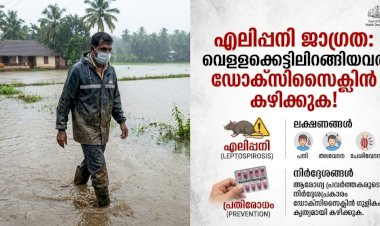 എലിപ്പനി ജാഗ്രത വെള്ളക്കെട്ടിലിറങ്ങിയവർ നിർബന്ധമായും ഡോക്‌സിസൈക്ലിൻ കഴിക്കണമെന്ന് ഡി.എം.ഓ
