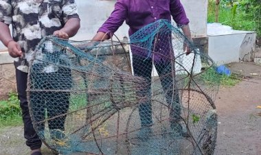 മുട്ടയിടാൻ പോയ മീനുകളെ പിടിക്കാൻ നോക്കേണ്ട ഫിഷറീസ് വകുപ്പിന്റെ മിന്നൽ പരിശോധന അഞ്ച് പേർക്ക് നോട്ടീസ്, കൂടുകൾ തകർത്തു