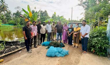 ഊത്തപിടുത്തത്തിനെതിരെ കർശന നടപടി ഹരിപ്പാട്ട് അനധികൃത മത്സ്യബന്ധന വലകൾ ഫിഷറീസ് വകുപ്പ് പിടിച്ചെടുത്തു നശിപ്പിച്ചു