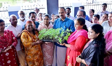 ഓണത്തിന് ഒരു കൊട്ടപ്പൂവ് ചെണ്ടുമല്ലി തൈ വിതരണം അഡ്വ. ബിനോയ് കുര്യൻ നിർവ്വഹിച്ചു