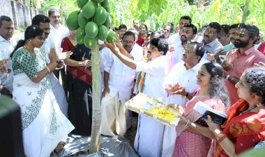 കൃഷിയിടത്തിലേക്ക് തിരിച്ചുപോവുക അനിവാര്യം ചെഞ്ചേരിയിൽ പപ്പായ വിളവെടുപ്പ് ഉദ്ഘാടനം ചെയ്ത് മന്ത്രി ടി.സിദ്ദിഖ്