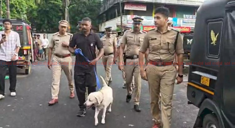 ​പെരുമ്പാവൂരിനെ നടുക്കി ഓപ്പറേഷൻ തൂഫാൻ ലഹരിമരുന്നുമായി 11 ഇതരസംസ്ഥാന തൊഴിലാളികൾ വലയിൽ