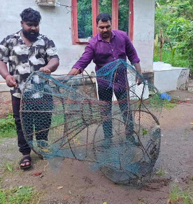 മുട്ടയിടാൻ പോയ മീനുകളെ പിടിക്കാൻ നോക്കേണ്ട ഫിഷറീസ് വകുപ്പിന്റെ മിന്നൽ പരിശോധന അഞ്ച് പേർക്ക് നോട്ടീസ്, കൂടുകൾ തകർത്തു