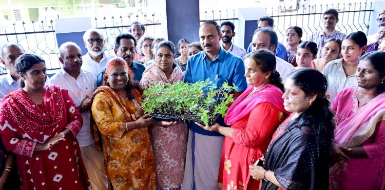 ഓണത്തിന് ഒരു കൊട്ടപ്പൂവ് ചെണ്ടുമല്ലി തൈ വിതരണം അഡ്വ. ബിനോയ് കുര്യൻ നിർവ്വഹിച്ചു