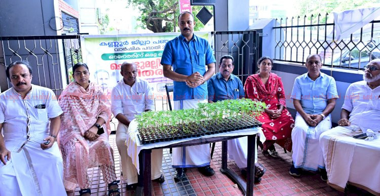 ഓണത്തിന് ഒരു കൊട്ടപ്പൂവ് ചെണ്ടുമല്ലി തൈ വിതരണം അഡ്വ. ബിനോയ് കുര്യൻ നിർവ്വഹിച്ചു