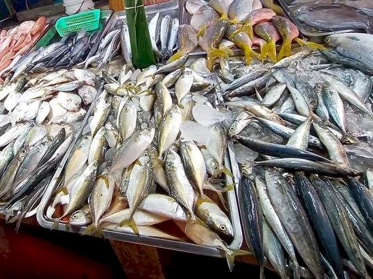 ​രാസവസ്തുക്കൾ ചേർത്ത പഴകിയ മത്സ്യങ്ങൾ വിപണിയിൽ? ആര്യനാട്ടിൽ കുട്ടികളടക്കം 25 പേർക്ക് ഭക്ഷ്യവിഷബാധ അധികൃതർ അന്വേഷണത്തിലേക്ക്