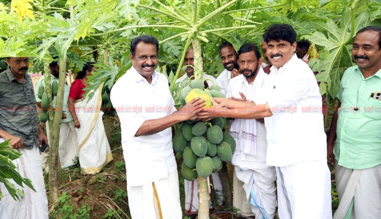 കൃഷിയാണ് ലഹരി പുതിയ തലമുറയെ കാർഷിക സംസ്കാരത്തിലേക്ക് നയിക്കാൻ കൃഷി വകുപ്പ് മന്ത്രി ടി. സിദ്ദിഖ്