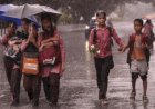 വയനാട് ജില്ലയിലെ വിദ്യാഭ്യാസ സ്ഥാപനങ്ങൾക്ക് നാളെ അവധി