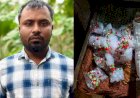 കേരളത്തിലെ ഹെറോയിൻ മാഫിയ തലവൻ ദാദാ പെരുമ്പാവൂരിൽ പിടിയിൽ