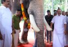 ആനയൂട്ടിൽ മുഖ്യമന്ത്രി വി.ഡി. സതീശൻ