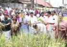 പത്മനാഭസ്വാമി ക്ഷേത്ര നിറപുത്തരി കൊയ്ത്തുത്സവം മന്ത്രി കെ. മുരളീധരൻ ഉദ്ഘാടനം ചെയ്തു