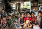 ​പാലത്തിനടിയിലെ ദുരിതജീവിതം അവസാനിപ്പിച്ചു അഞ്ച് കുട്ടികൾക്ക് തുണയായി ചൈൽഡ് വെൽഫെയർ